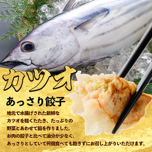 カツオ餃子・黒豚餃子食べ比べセット 紅龍 IB131-002 餃子 餃子 