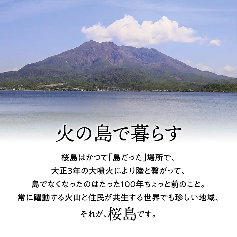 桜島つばきハンドクリーム 2本セット K062-014