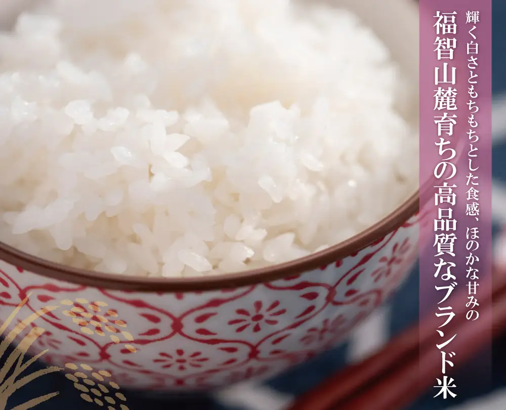Z17-17 令和7年産 研ぐお米 夢つくし5kg