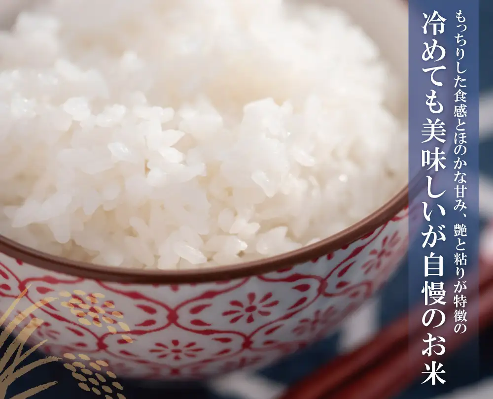 Z17-26 令和7年産 研ぐお米 元気つくし10kg