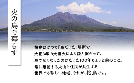 桜島つばきハンドクリーム 5本セット K062-016