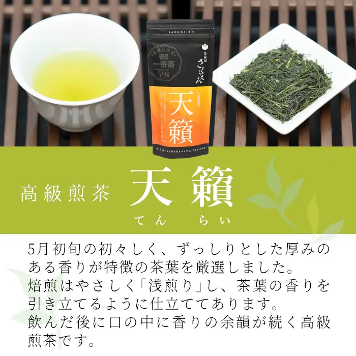 香り高い高級煎茶 「天籟-てんらい-」 70g 茶蔵園 日本茶 緑茶 煎茶 お茶 6000円
