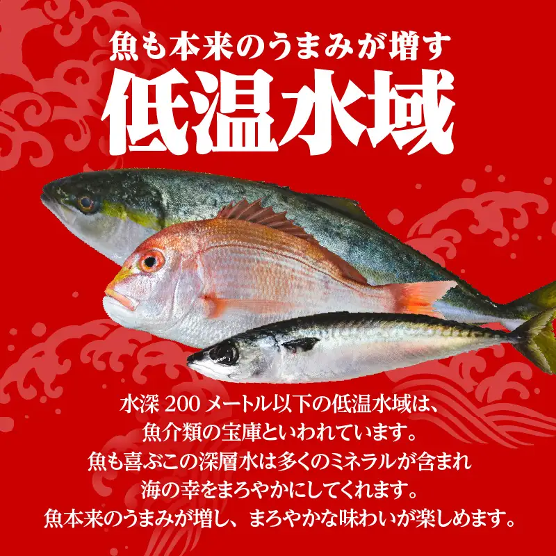 こしき海洋深層水仕立て 塩干物 7種 詰め合わせ （FS-01） K065-001 魚 冷凍