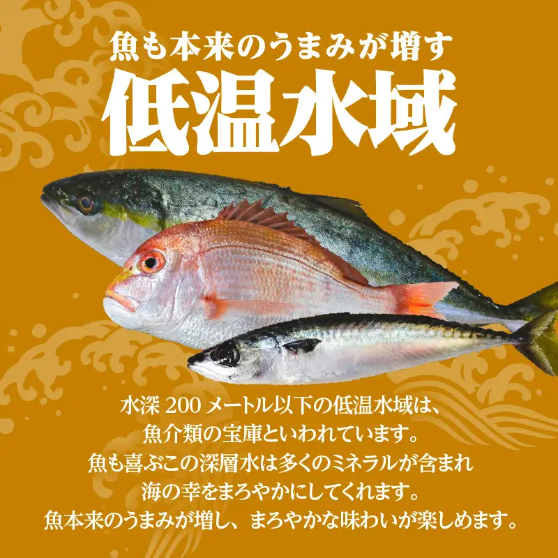 こしき海洋深層水仕立て 塩干物 12種 詰め合わせ （FS-02） K065-002 魚 冷凍