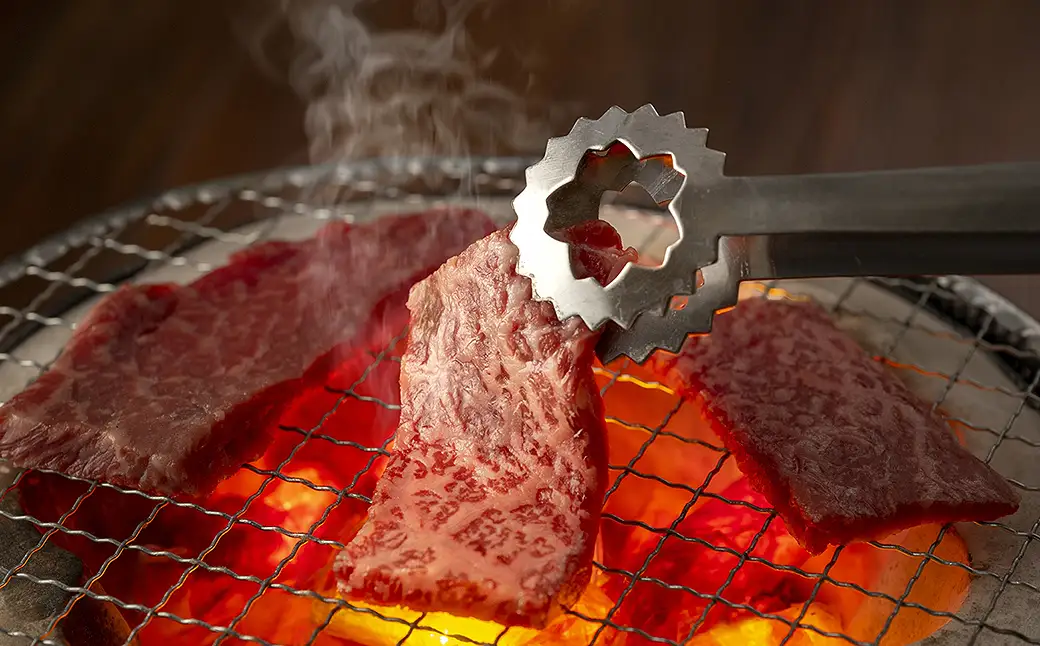 DN-11　鳥取和牛希少部位の焼肉＆ステーキ
