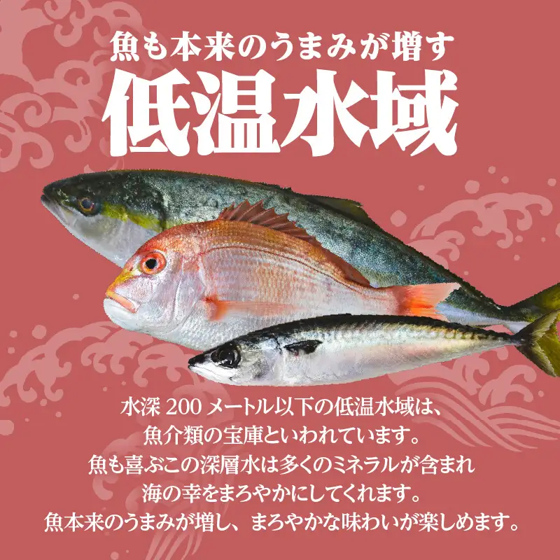 【海幸】 漬け魚 6種 詰め合わせ （FK-01） K065-003 魚 惣菜 総菜 冷凍