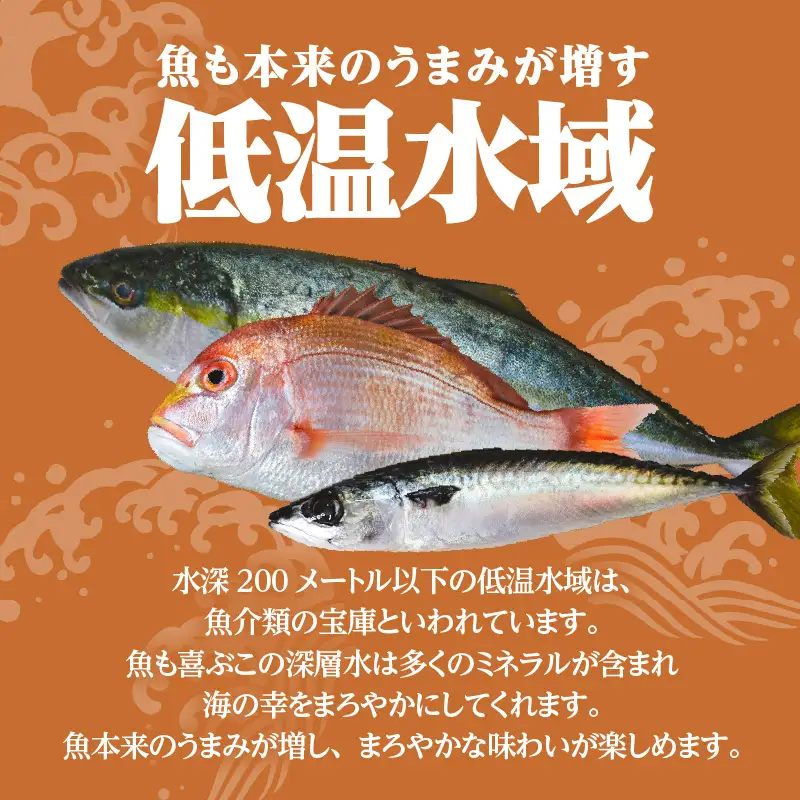 【海幸】 漬け魚 9種 詰め合わせ （FK-02） K065-005 魚 惣菜 総菜 冷凍