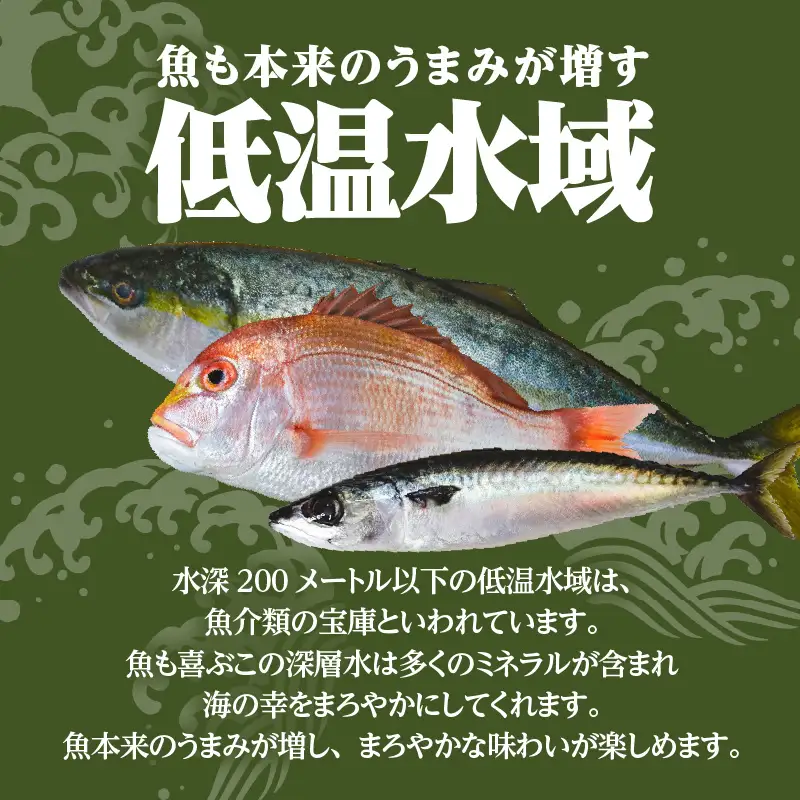 【海幸】簡単・便利 お魚惣菜 6種 詰め合わせ（FO-2） K065-006 魚 総菜 冷凍