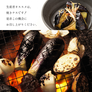 なす 5kg 和水町産 野菜 5月下旬～発送いたします 野菜