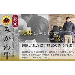 【みかわ和牛】和牛赤身ステーキ100ｇ×3枚