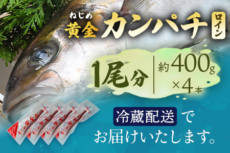 【配送日指定可能】 鹿児島 ねじめ黄金カンパチ ロイン 1尾（約400g×4本）冷蔵便 JF-502 | 魚 直送 養殖 根占 さかな 身が引き締まった かんぱち 漁師 刺身 寿司 しゃぶしゃぶ ぷりぷり食感 鹿児島県 南大隅町 漁業協同組合