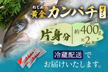 【配送日指定可能】 鹿児島 ねじめ黄金カンパチ ロイン 片身分（約400g×2本）冷蔵便 JF-507 | 魚 直送 養殖 根占 さかな 身が引き締まった かんぱち 漁師 刺身 寿司 しゃぶしゃぶ ぷりぷり食感 鹿児島県 南大隅町 ねじめ漁業協同組合