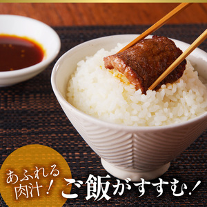 宮崎牛おまかせ焼肉セット N023-YZA304