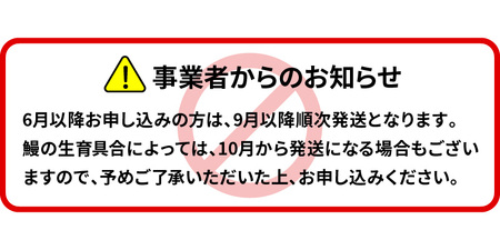 北川鰻の白焼き 2尾 本来のおいしさ 特製タレ付き 真空パック 冷蔵保存 調理済み 簡単調理 おかず ごはんのお供 おつまみ 食品 食べ物 北川淡水 国産 宮崎県 延岡市 お取り寄せ お取り寄せグルメ 送料無料 N010-YA664