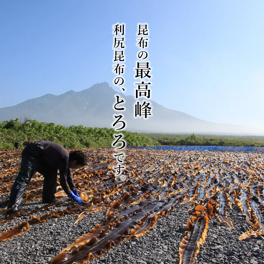 利尻 とろろ昆布 30g 11袋入 《利尻漁業協同組合》