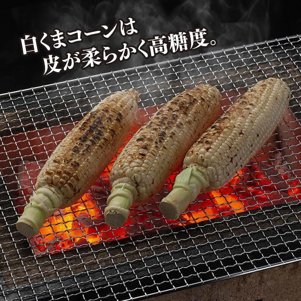 【先行予約】象もろこし（白くまコーン）大きいサイズのトウモロコシ 450ｇ以上8本入り (2026年8月下旬から発送開始) | トウモロコシ _01413