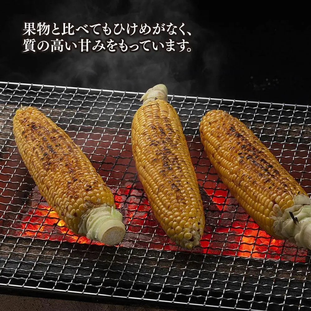 【先行予約】象もろこし（ライオンコーン）大きいサイズのトウモロコシ　480ｇ以上8本入り(2025年8月下旬～発送開始) | トウモロコシ  _01412