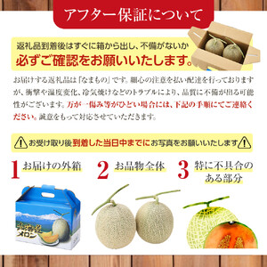【先行予約】北海道産小玉スイカ1.6kg×2玉 (2026年7月中旬から発送開始) | スイカ _02063