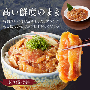 ぶりづくし詰合せ【B4-105】