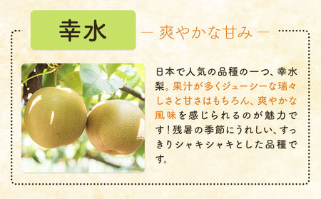 梨 幸水 10kg 矢畑むらづくり組合 【栃木県共通返礼品　栃木県産】