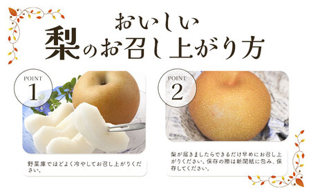 梨 にっこり梨 10kg 矢畑むらづくり組合【栃木県共通返礼品　栃木県産】【配送不可地域あり】(離島)