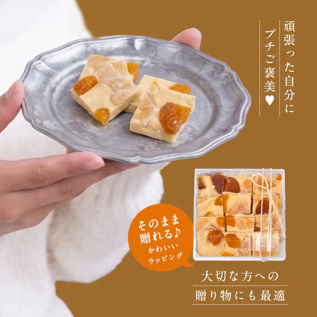 【お歳暮熨斗付】ショコラフリュイ トロピカル チョコレート スイーツ ドライフルーツ 手土産 贈答