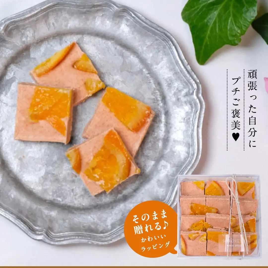【お歳暮熨斗付】ショコラフリュイ オレンジ チョコレート スイーツ ドライフルーツ 手土産 贈答