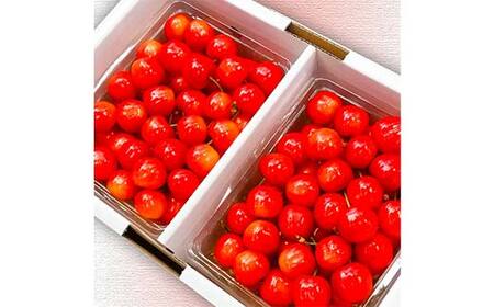 《2027年先行予約》山形県中山町産さくらんぼ《佐藤錦特秀品》 700g Lサイズ以上 山形県産 サクランボ フルーツ 果物 F4A-0106