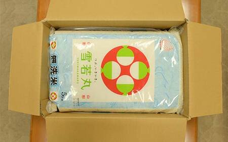 【定期便】【令和7年度産】 山形県産 雪若丸無洗米 5kg×2袋計10kg×3回 ブランド米 こめ ご飯 ごはん 白米 毎月届く エコ 節水 便利 F4A-0519