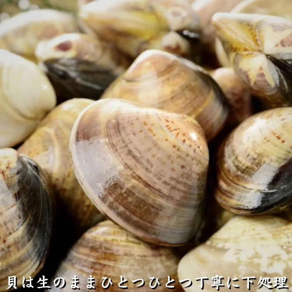 東海道の名物 志ぐれ蛤・志ぐれあさりの詰合せ 創業明治十年の老舗 喜太八時雨本舗