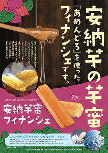 安納芋蜜 ﾌｨﾅﾝｼｪ  計50本(10本入×5箱) AS-8139
