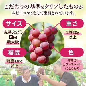 ルビーロマン 500g × 2房（2箱）【2027年収穫分】| ぶどう ぶどう 葡萄