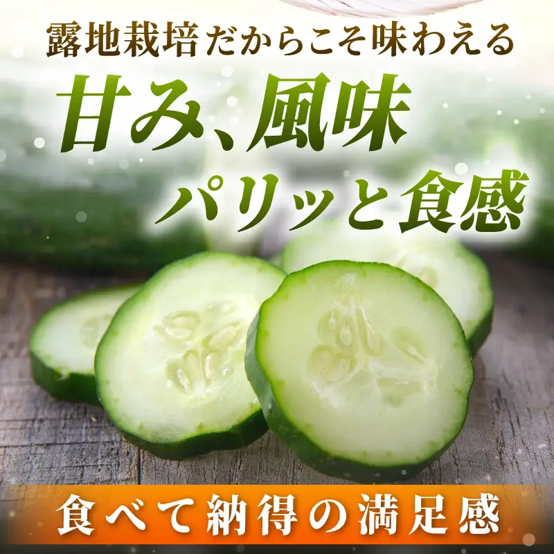 【先行予約】【訳あり】期間限定 太陽の光サンサンと浴びた「SunSun きゅうり」 2kg以上【2026年7月上旬以降順次発送】【胡瓜 野菜 漬物】 [e35-a056]