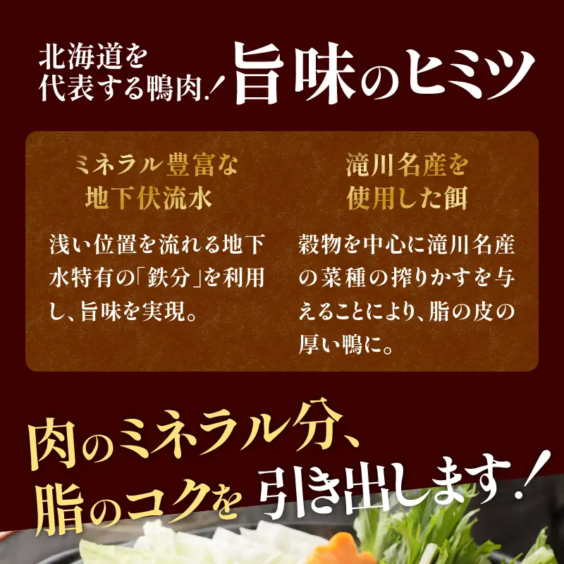北海道産 合鴨肉 切り落とし2kg | 鴨肉 北海あいがも 北海道 冷凍 鴨鍋 鴨南蛮 そば 焼肉 あいがも かも肉 大容量 チェリバレー種