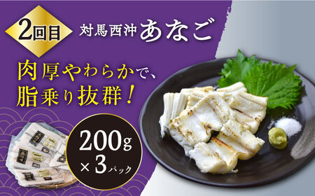 【全3回定期便】対馬産 海の幸定期便  海鮮 魚介 うに あなご サザエ [WAA013]