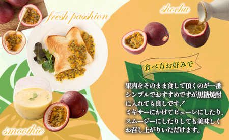 【2026年発送】先行受付 徳之島 天城町 吉川果樹園 パッションフルーツ 家庭用 1kg  トロピカルフルーツ フルーツ パッション 自宅用 AB-29-N