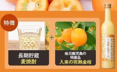 AS-523 かごしま ほろよいスピリッツ（パクチ～すぴりっと・金柑こみち） 各500ml 田苑酒造