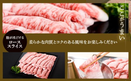 DSR-209 鹿児島県北さつま高崎牛 ローススライス　700g 【鹿児島県産黒毛和牛】