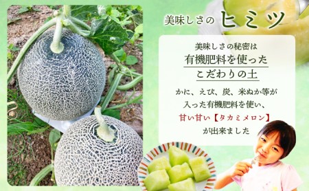 幸せの「タカミメロン」3玉～4玉（約2kg以上） フルーツ 果物 