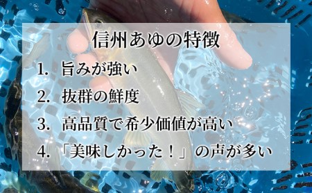 生産者直送こだわりの「信州あゆ」冷凍10尾入り アユ 鮮度抜群 旬 旨みが濃い 鮎の塩焼き 鮎めし 魚介 個包装 長野 信州 上田市