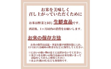令和7年産 【定期便】 玄米 さがびより 5kg×6回 999-B1063