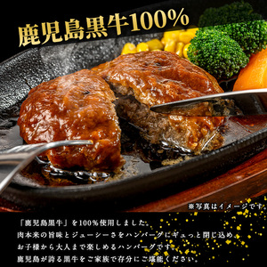 鹿児島黒牛特選ハンバーグ6個入り【nixy中山亭】chuzan-7011