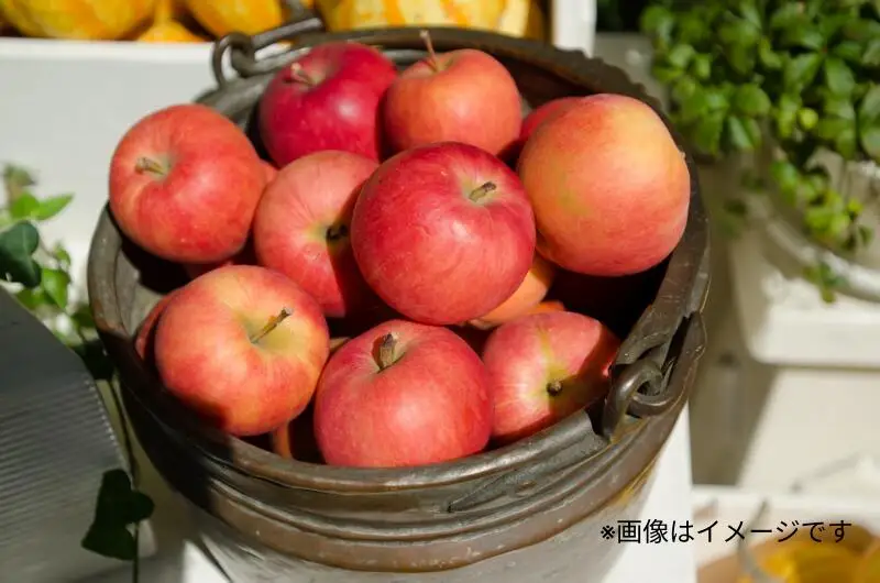 【5回定期便】東谷農園 こだわりの詰まった季節の フルーツ 定期便_Y037-0346