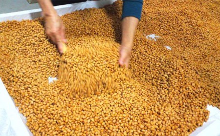  味噌【アグリット久米島】満天久米島みそ満喫セット 米麹 米味噌