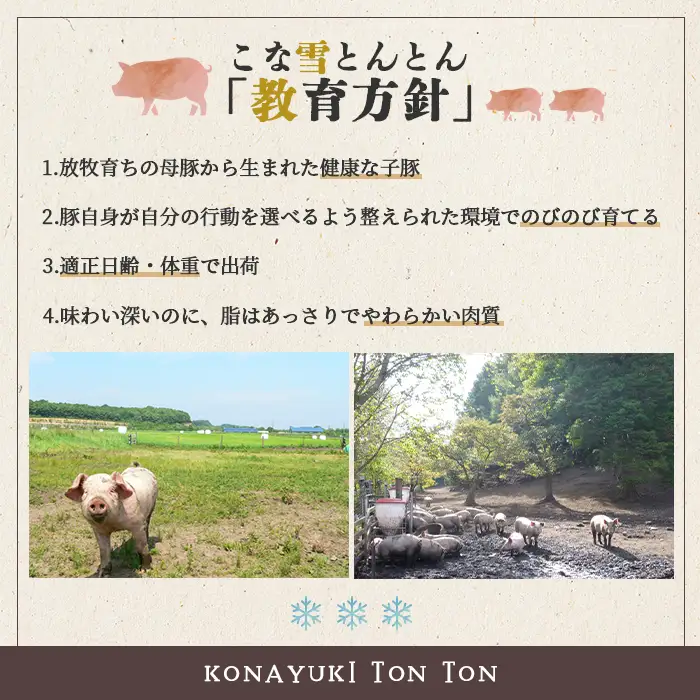 北海道雪国放牧豚こな雪とんとんウインナーソーセージ（5本入り）【19006102】