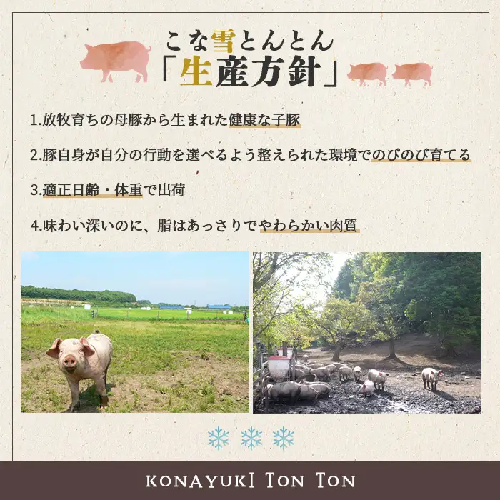 こな雪とんとん　ポークジャーキー　30g×2袋【19006801】