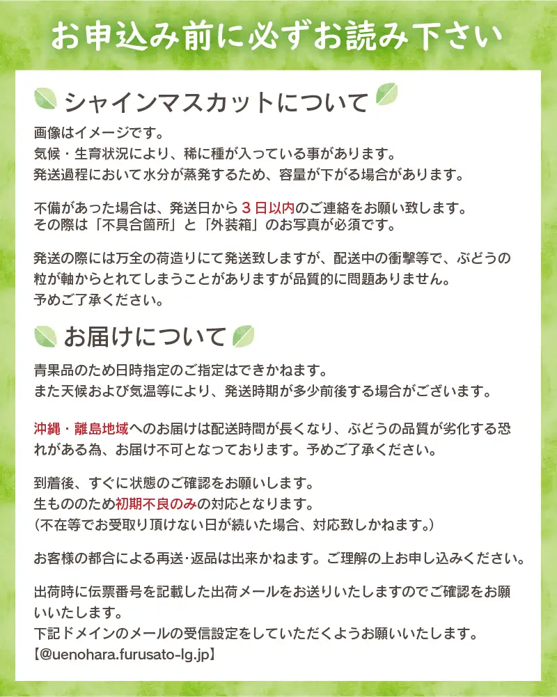 【ふるなびWEEK対象】山梨県産シャインマスカット 1kg（2～３房）【化学肥料、除草剤不使用】ぶどう 葡萄 フルーツ 果物 農園直送