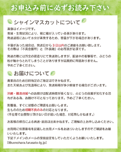 山梨県産シャインマスカット 2kg（3～5房）【化学肥料、除草剤不使用】ぶどう 葡萄 フルーツ 果物 農園直送