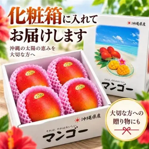 【2027年6月下旬から順次発送・贈答用】JAおきなわ厳選 完熟アップルマンゴー2kg(3～6玉)【配送不可地域：離島】【1390905】