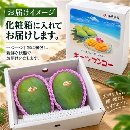 【2027年8月上旬から順次発送・贈答用】JAおきなわ厳選 幻のキーツマンゴー約2kg(2～3玉)【配送不可地域：離島】【1390927】